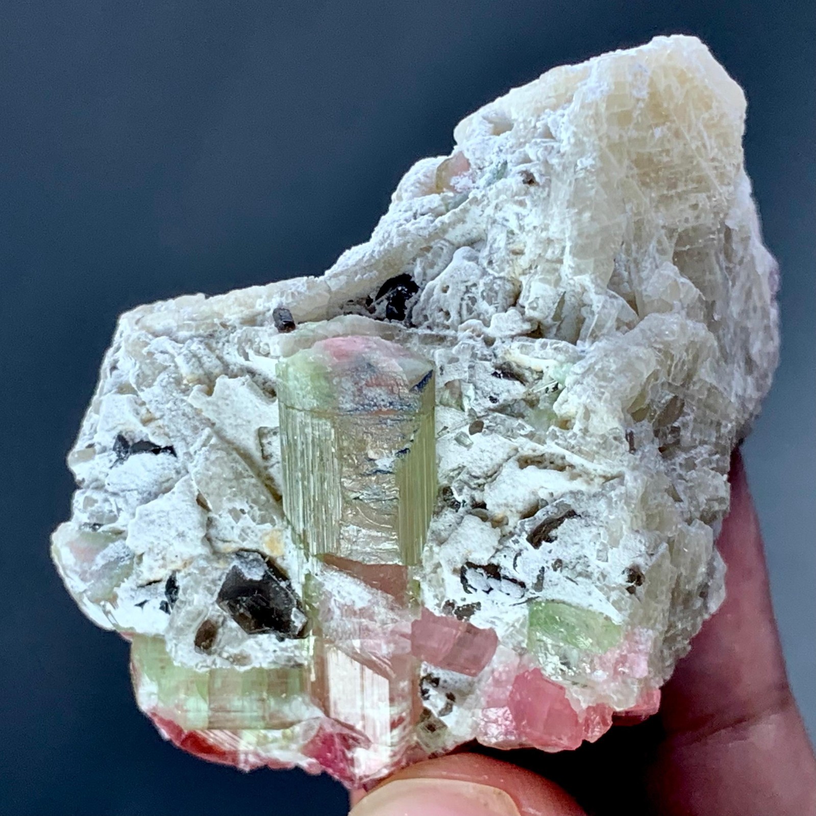 351 CT Terminated Natural Watermelon Tourmaline Crystals Bunch Specimen @ Afgh