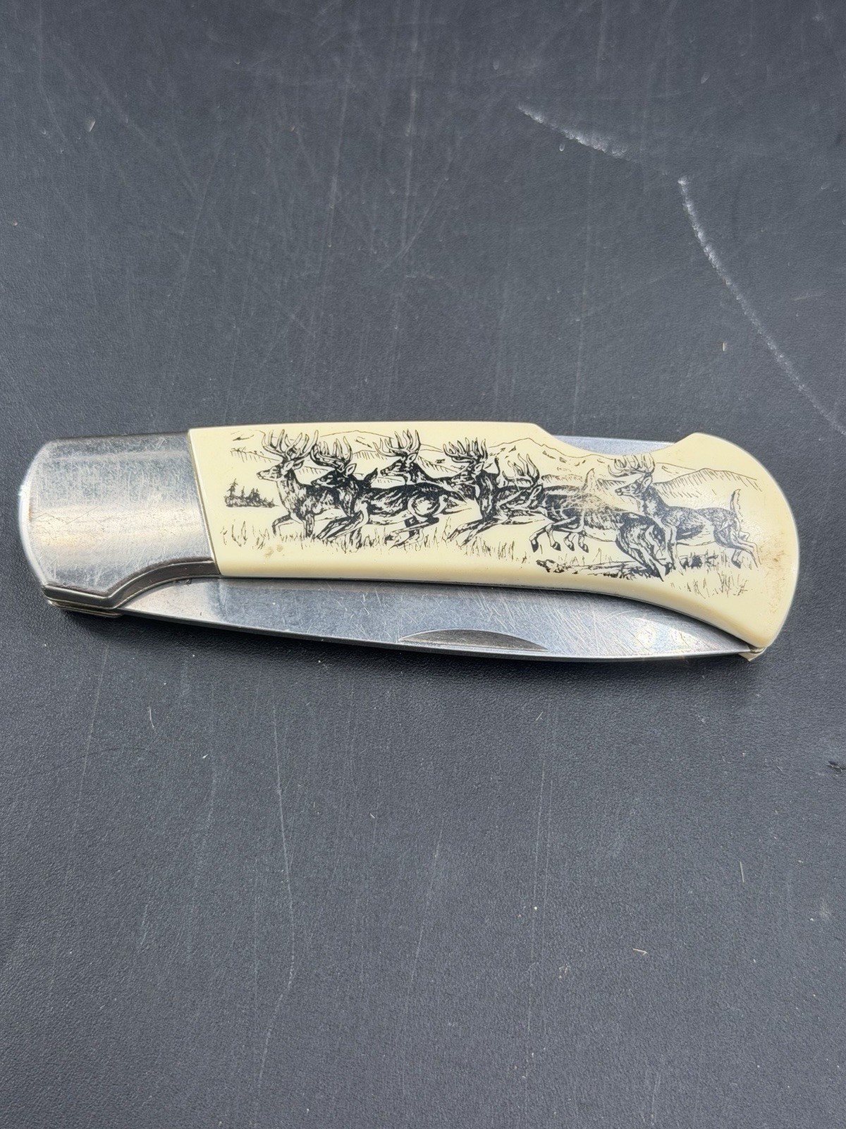 Vintage Sabre Whitetail Deer Scrimshaw Folding Lockback Pocket Knife Stainless