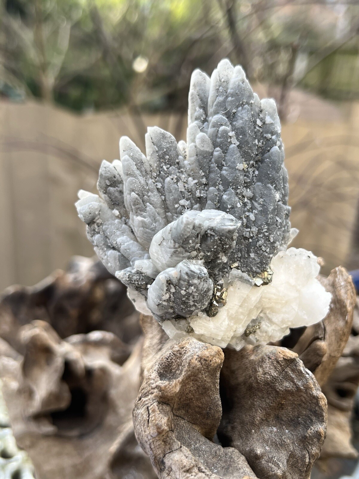 Calcite Cluster Encrusted Druzy AM10 Austrian Becke-Ose