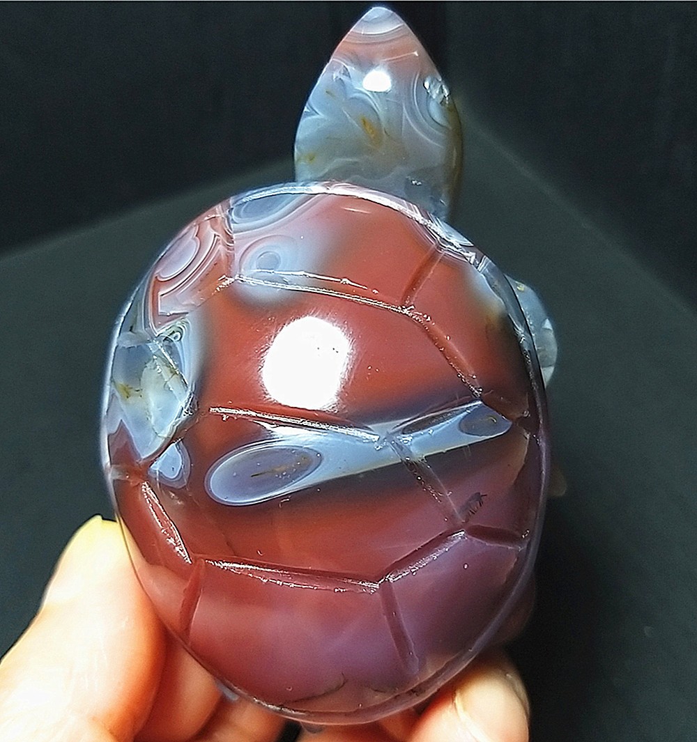 169.6G Natural Polished Scarlet Agate Crystal Hand Carved Longevity Turtle C1250