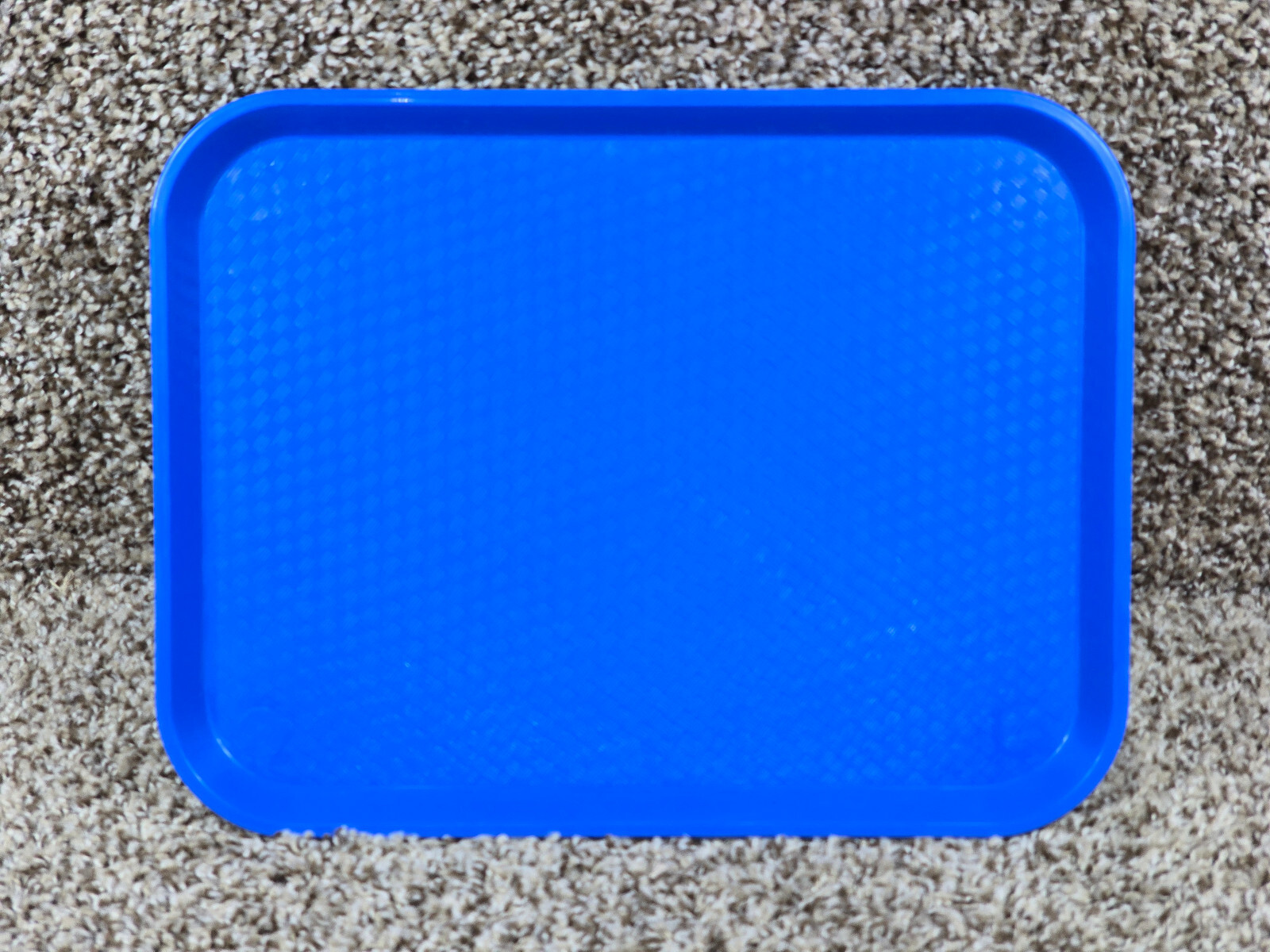 BLUE Cambro Cafeteria Lunchroom Tray 10\