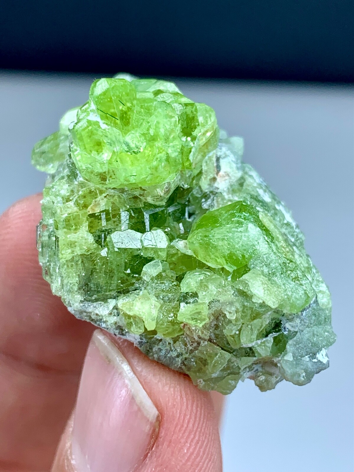 24 GM Terminated Floater lustrous Peridot Crystal Cluster On Matrix Specimen