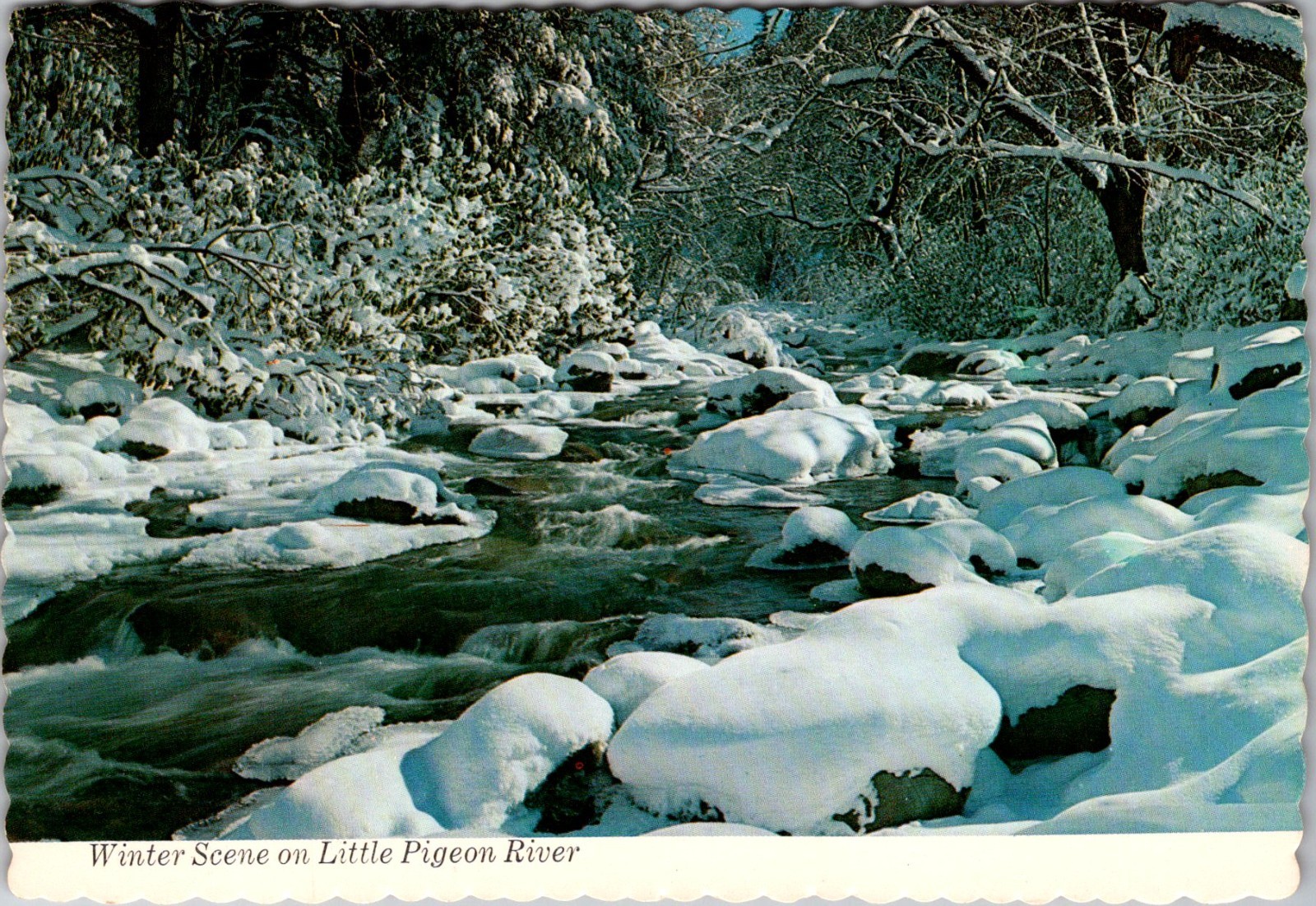 Winter Scene On Little Pigeon River Smoky Mountains Park Vintage Postcard TPQ29