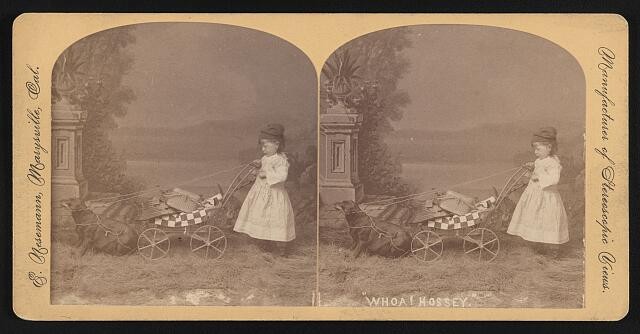 Photo:1910s Child with Toy Horse Cart Stereoscopic Photograph