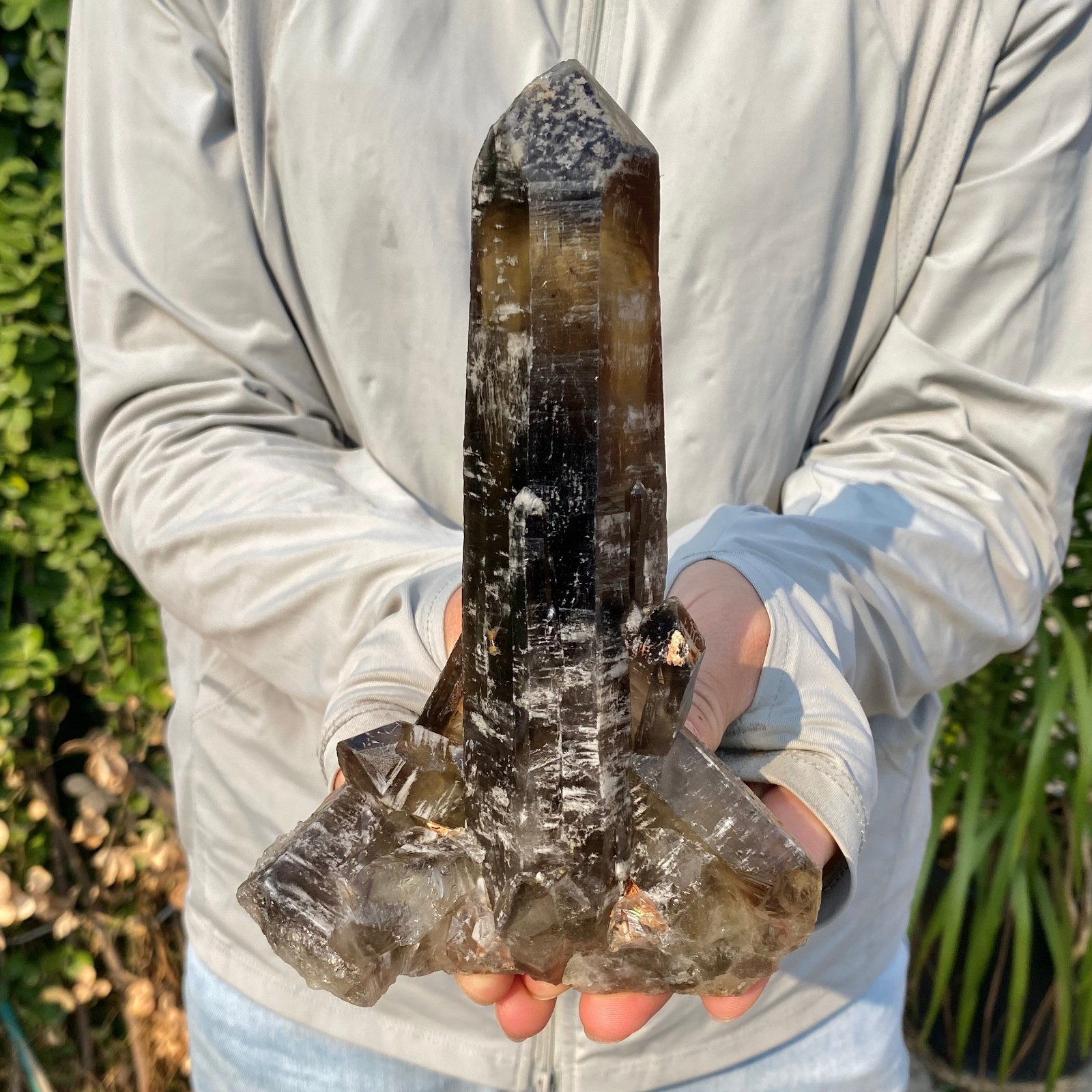 810G  Natural Black Smoky Quartz Crystal Cluster Raw Mineral Specimen