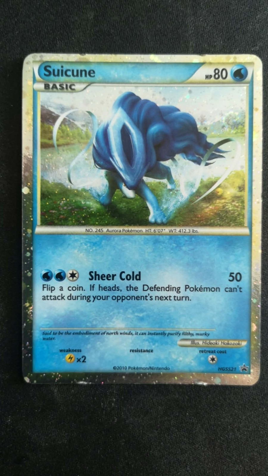 Suicune HGSS21 HartGold & SoulSilver Black Star Promo Pokémon TCG LP Suicune HGSS21 HartGold & SoulSilver Black Star Promo Pokémon TCG LP