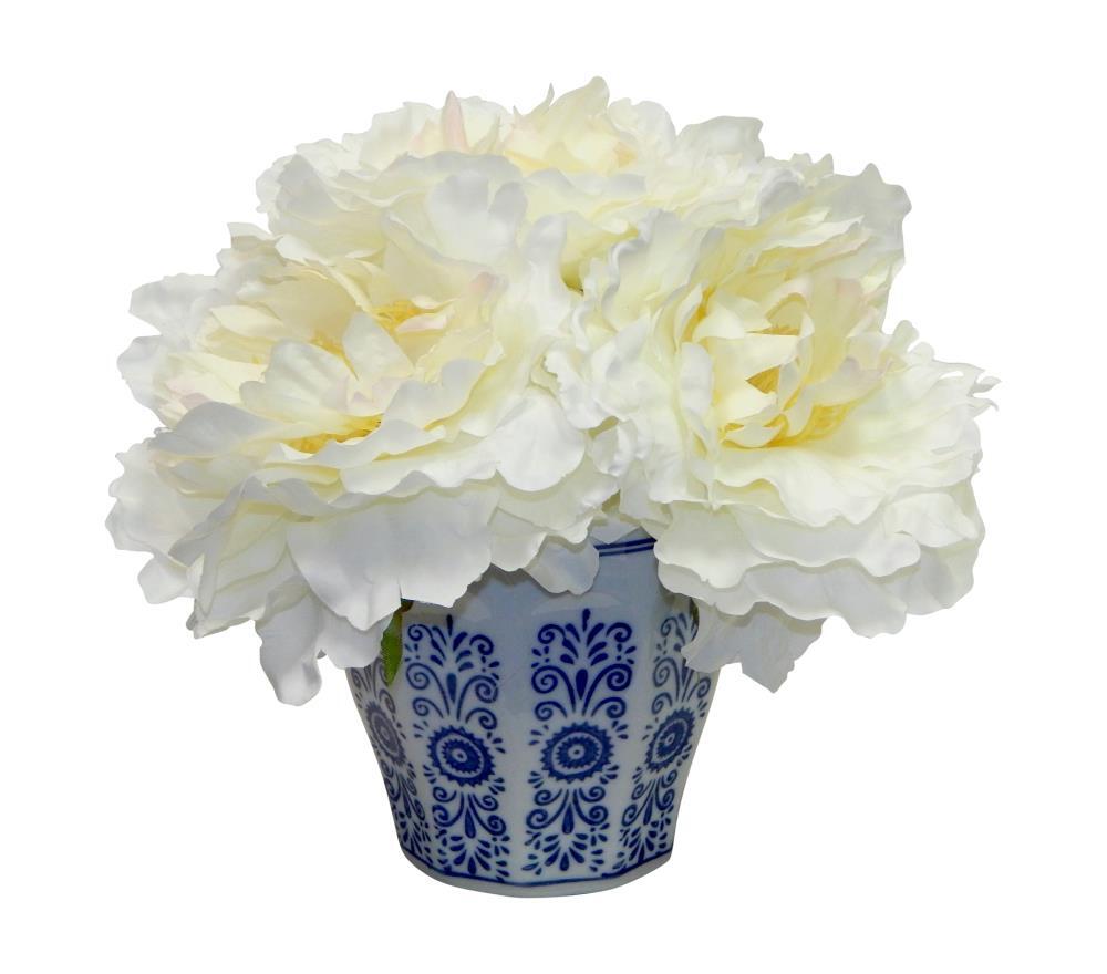 Peony, Blue/White Pot, Cream - 8\