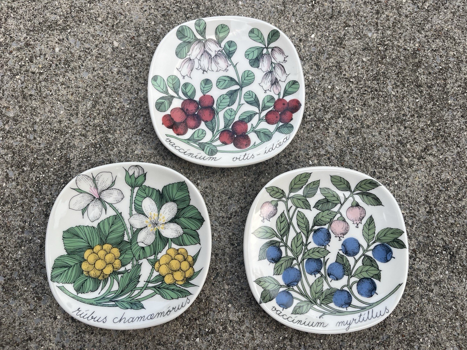 3 PCS Arabia Finland BOTANICAL FLORAL Square Wall Gallery Wall Plate Flowers Lot
