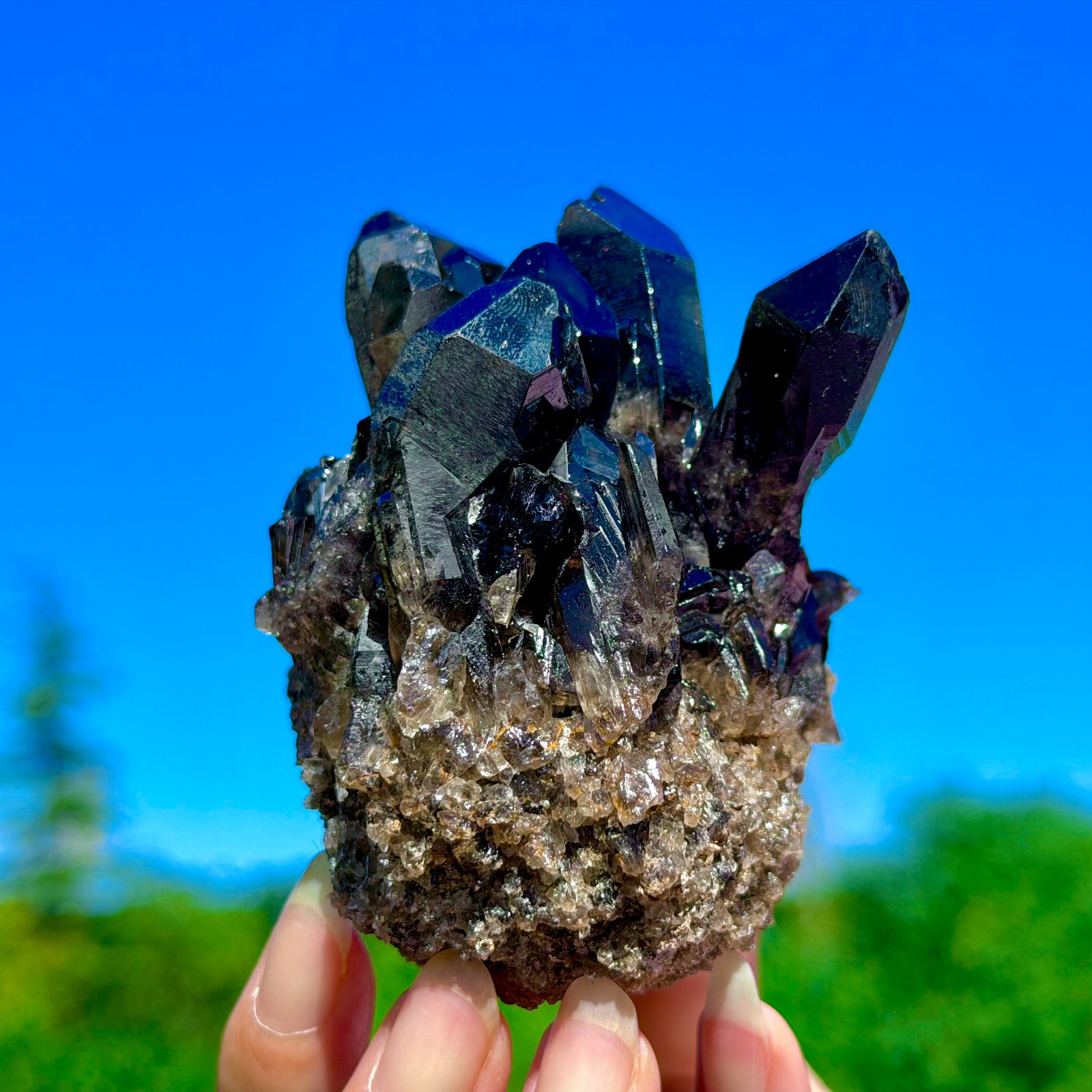 370G Natural Citrine Smoke Quartz Black Cluster Crystal Gem Mineral Specimens