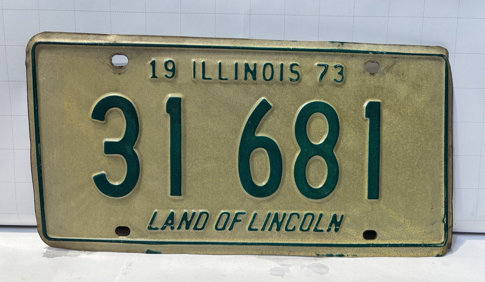 Vintage 1973 Illinois Passenger Vehicle License Plate 31 681  \