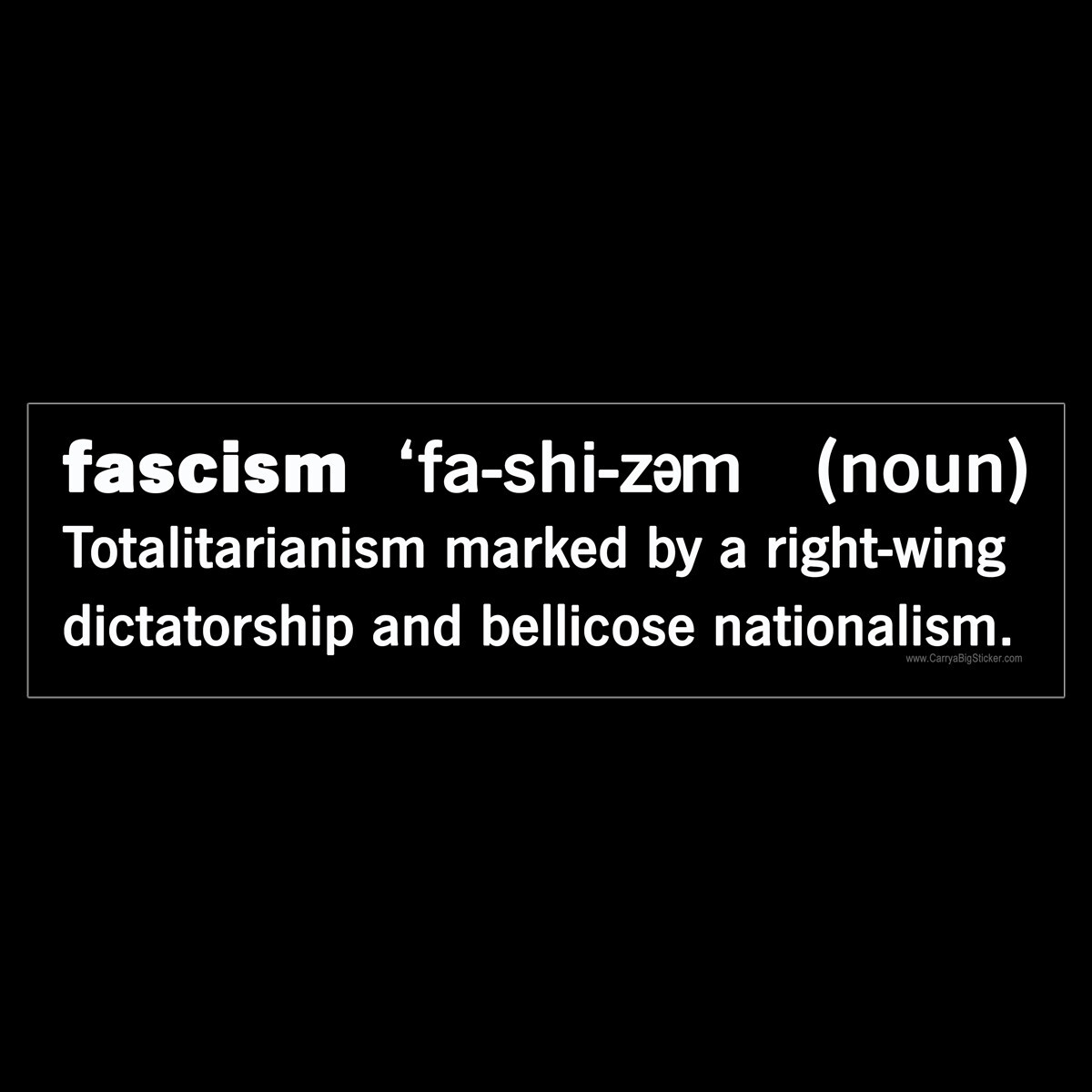 Fascism definition BUMPER STICKER or MAGNET anti Trump defined magnetic fascist