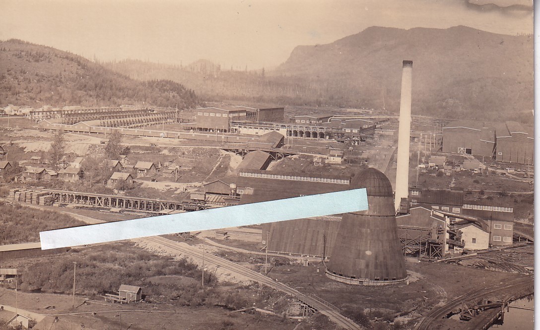 RPPC Enumclaw WA Lumber Mill King CO E of Puyallup Bonney Lake 1920s Washington RPPC Enumclaw WA Lumber Mill King CO E of Puyallup Bonney Lake 1920s Washington