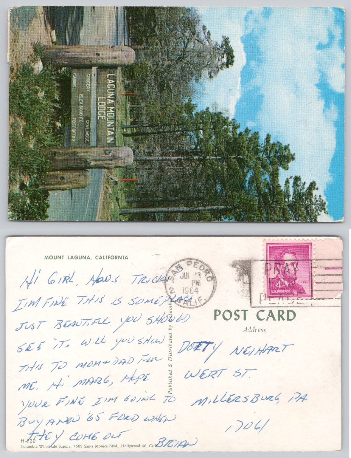 1964 Mount Laguna Lodge California Postcard - San Pedro Postmark