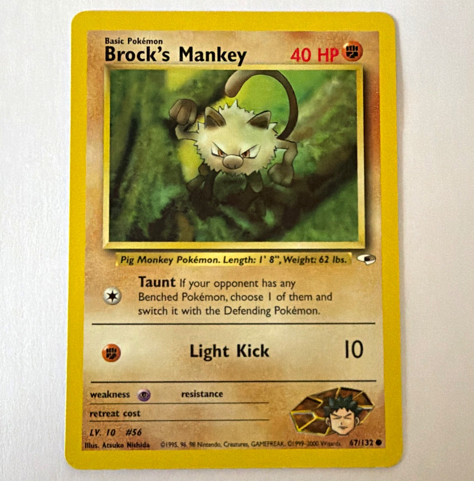 Pokémon Brock\'s Mankey Gym Heroes