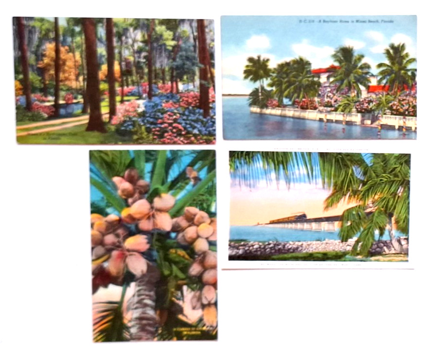 FLORIDA POSTCARDS Lot Of 9 Different Linens (see Photos and List) FLORIDA POSTCARDS Lot Of 9 Different Linens (see Photos and List)