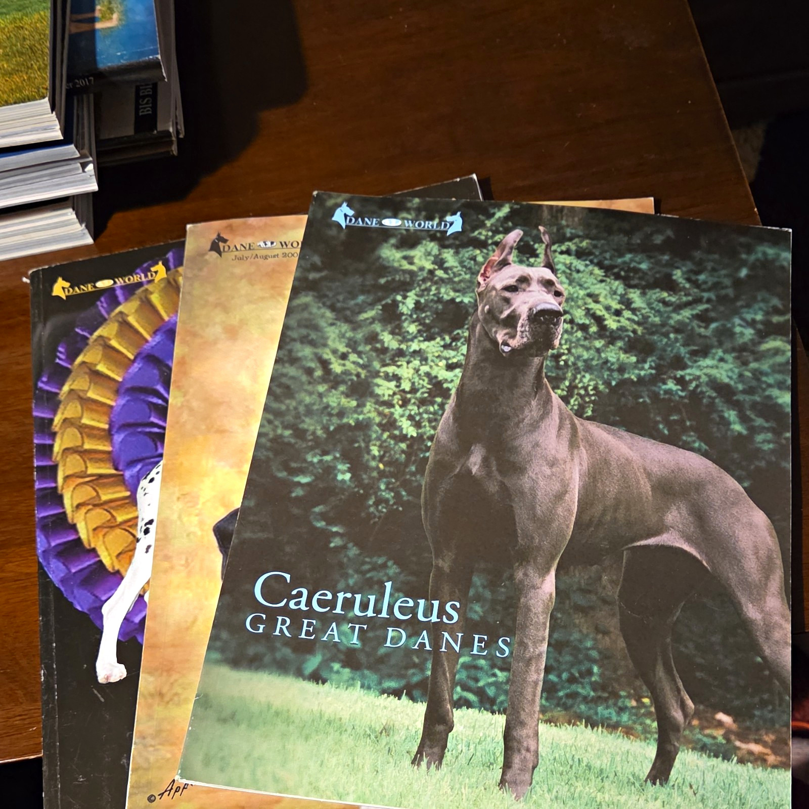 Dane World Great Dane Magazine Lot of 3 Great Danes AKC 2005,2006,2007 Dane World Great Dane Magazine Lot of 3 Great Danes AKC 2005,2006,2007