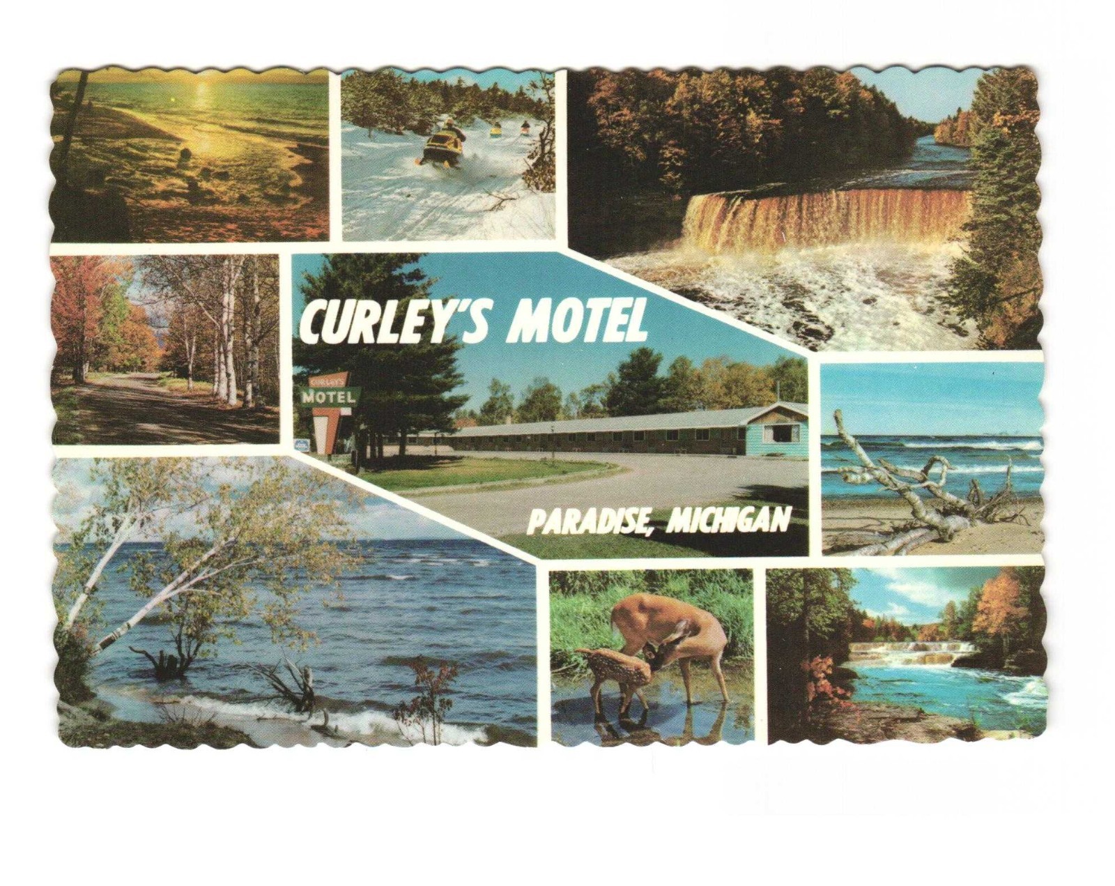 Curley\'s Motel Paradise Michigan vintage postcard unposted