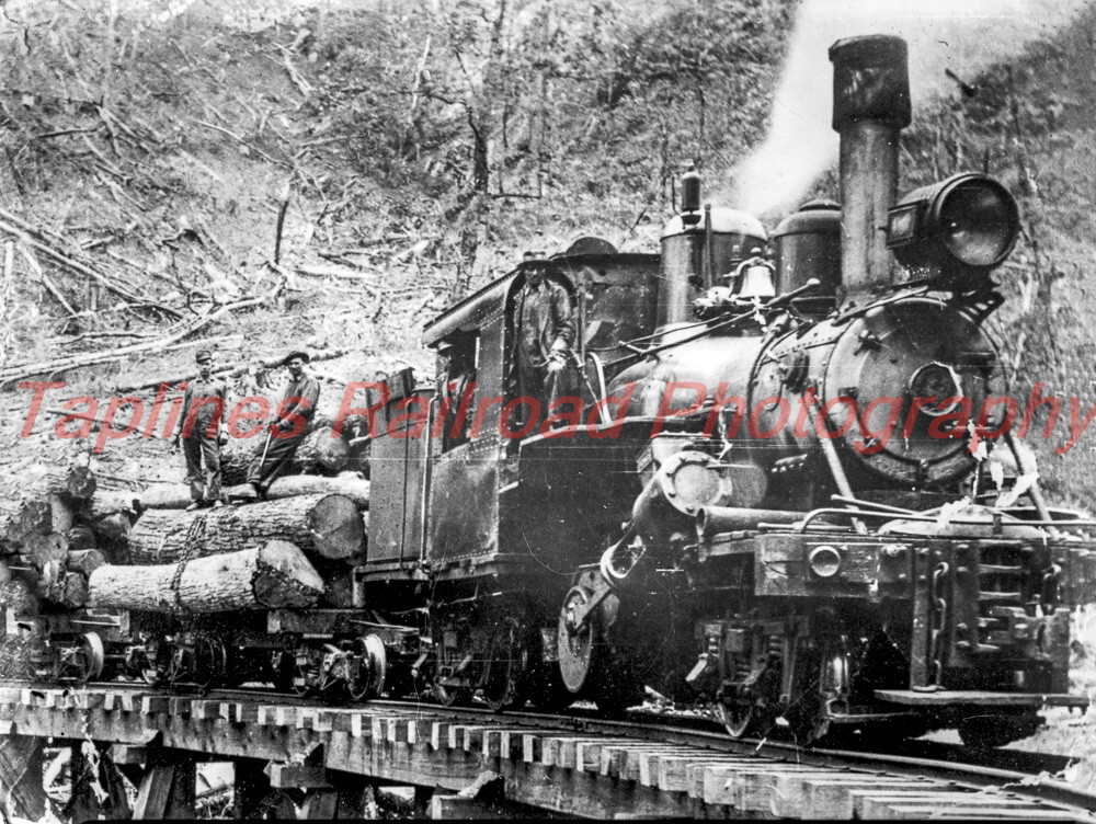 Champion Fibre Co. 3 near Robbinsville. NC. - Climax 40ton  NEW 8x10 PHOTO