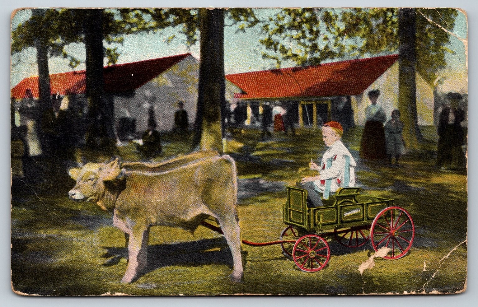 1910 Boy Driving Calf Pulled Wagon SPEEDWAY Newburg PA Postcard 1910 Boy Driving Calf Pulled Wagon SPEEDWAY Newburg PA Postcard