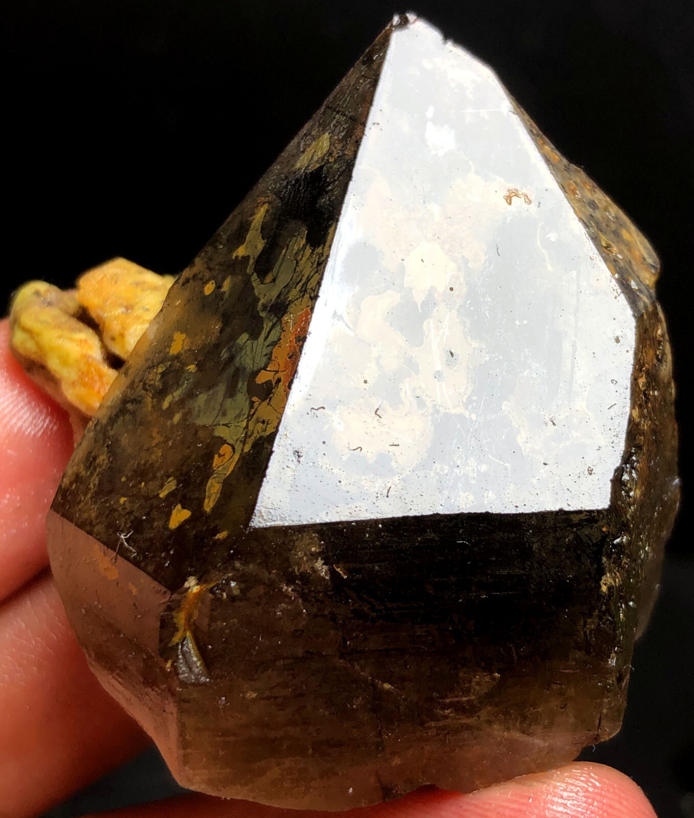70g 1PC Kullu Valley Natural Smoky Lemurian Quartz Lemuria Crystal Point  k816