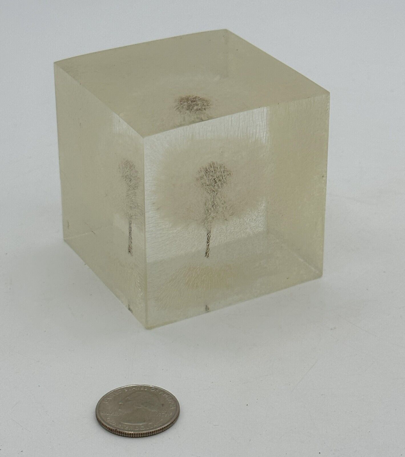 Dandelion Seed Head Blowball Epoxy Resin Cube Desk Decor Paper Weight Art 2.5in