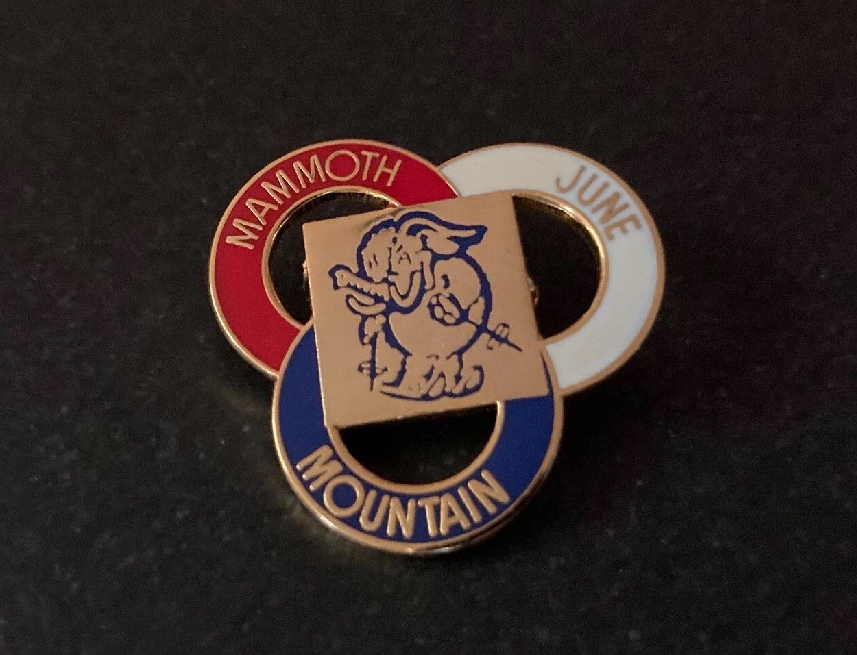 Mammoth Lakes June Mountain Enamel Ski Pin RARE VTG 1990s Olympic Training Site