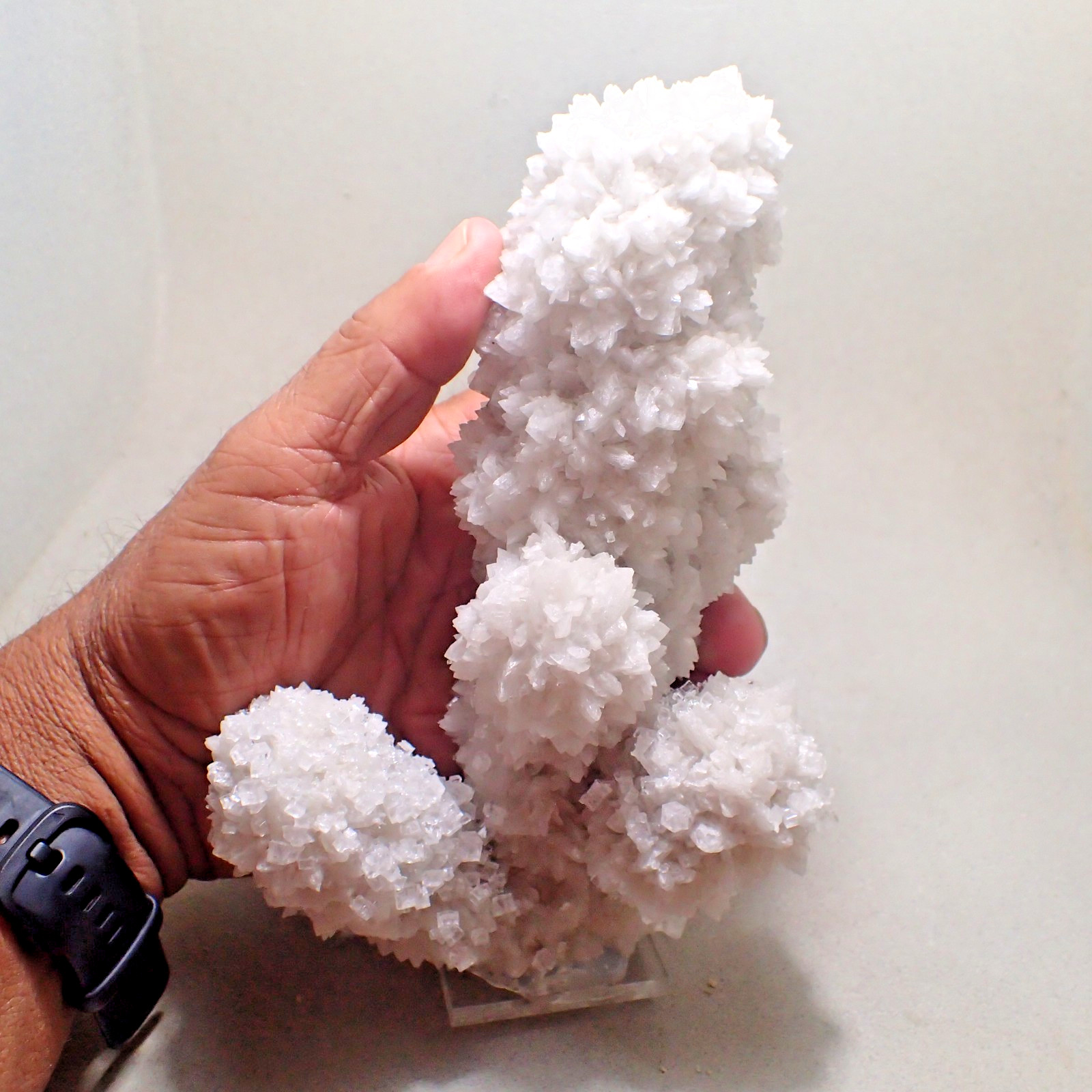Selenite & Halite, Great Salt Lake, 5 County Area, Utah Selenite & Halite, Great Salt Lake, 5 County Area, Utah
