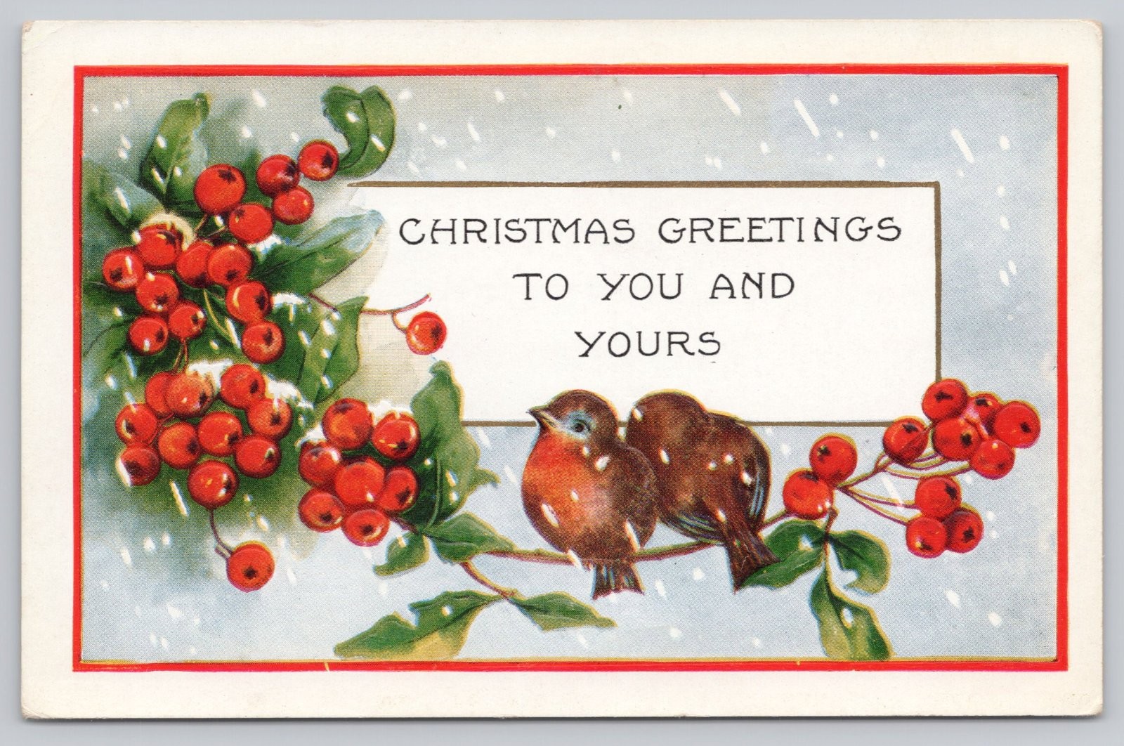Vintage Christmas Greetings to You Postcard Birds Holly Berries Snow 1920s