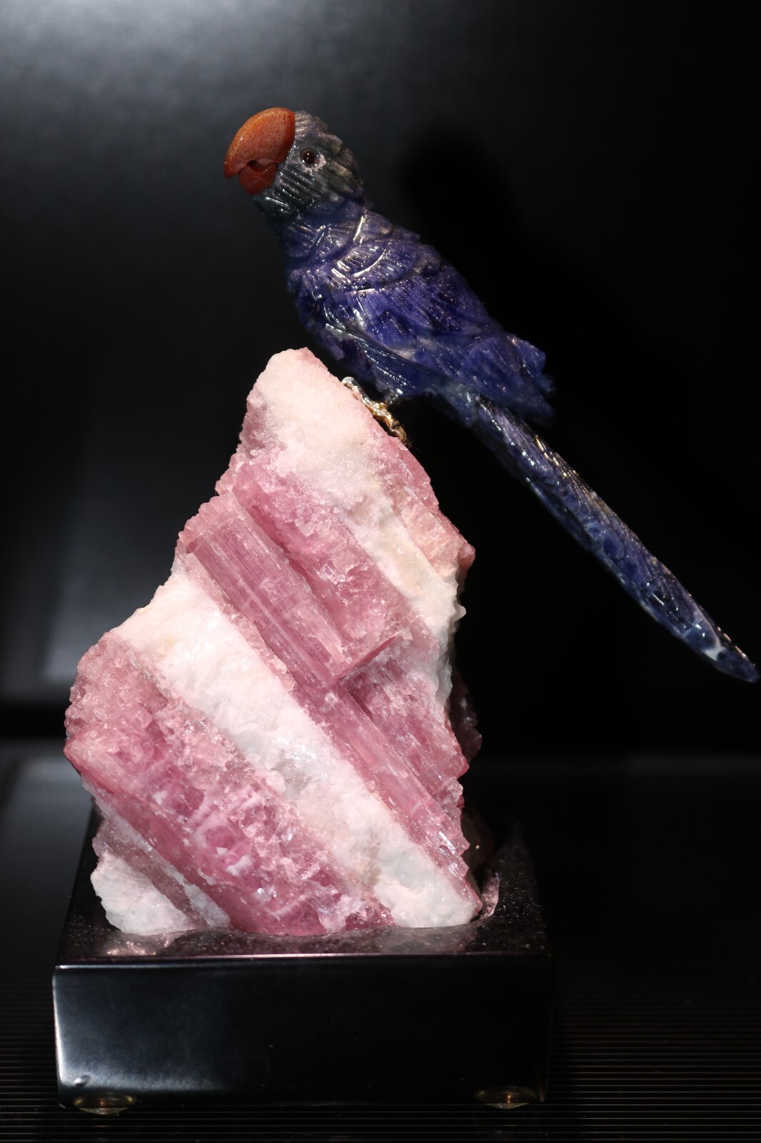 Peter Muller Hand Carved Sodalite Macaw on Pink Tourmaline Base 4 3/4