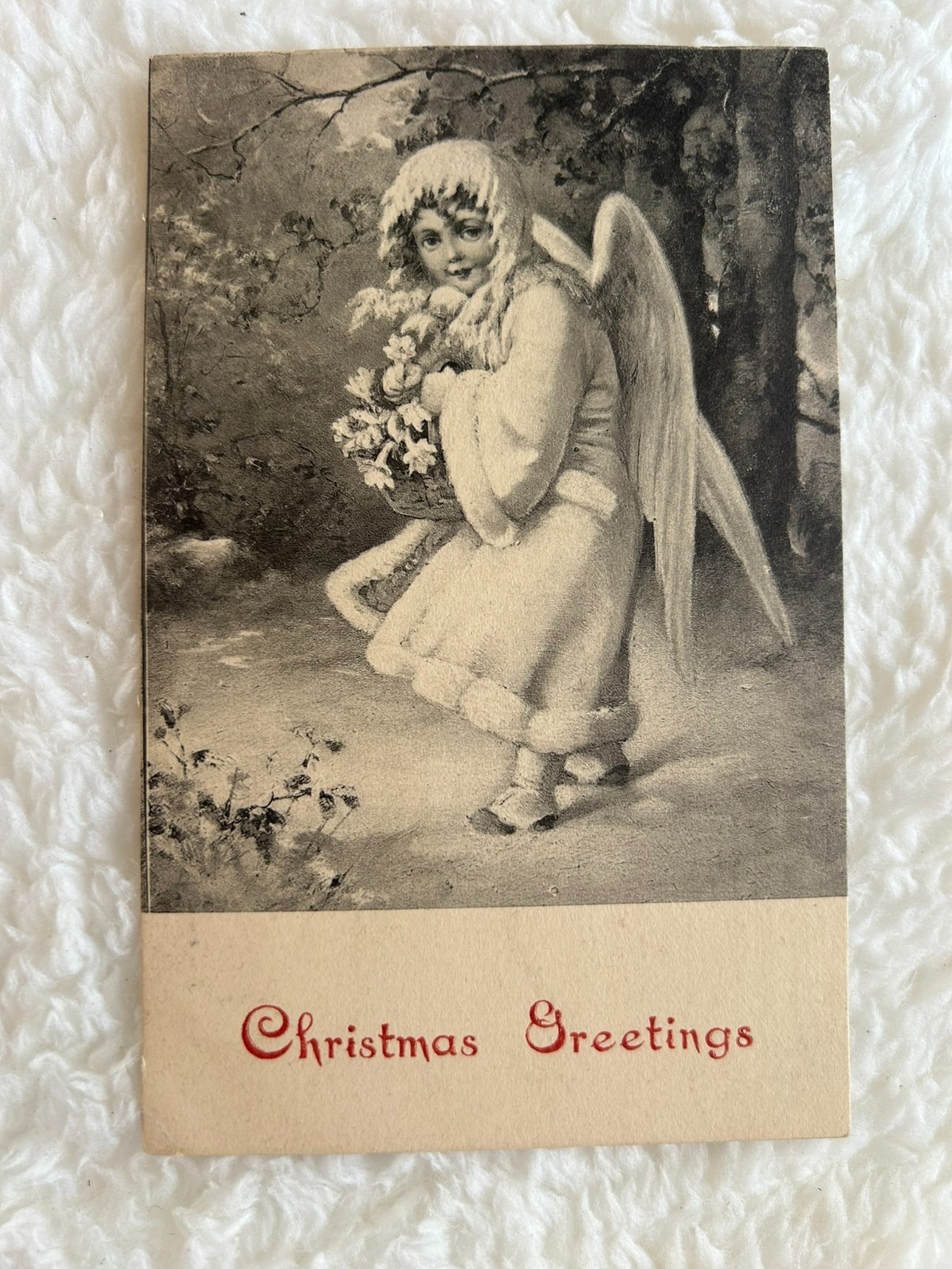 Antique Edwardian Postcard \ Antique Edwardian Postcard \