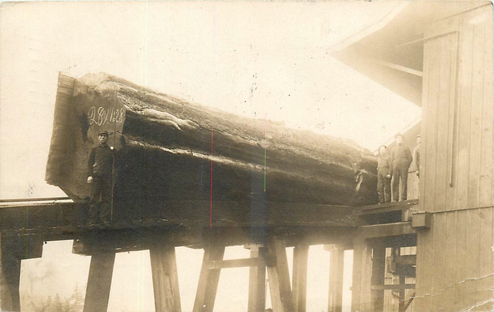 1909 Aberdeen Washington Lumber Sawmill Big Log Postcard RPPC 24-10762