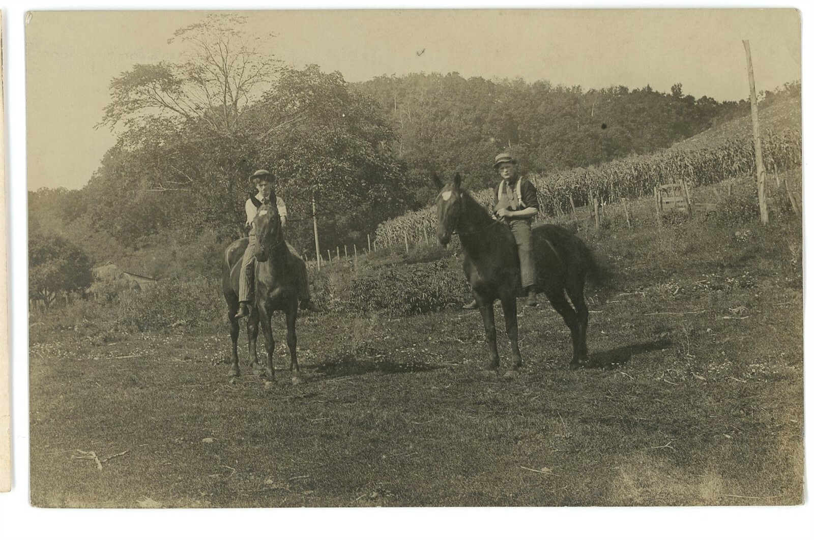 RPPC Guys Riding Horses Corn Farm Rural Real Photo Postcard