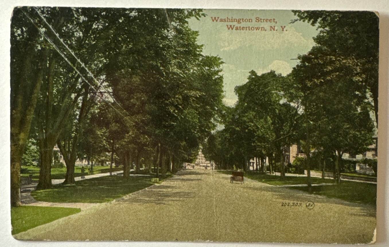 Vintage Postcard, Watertown New York, Washington Street, Posted 1912