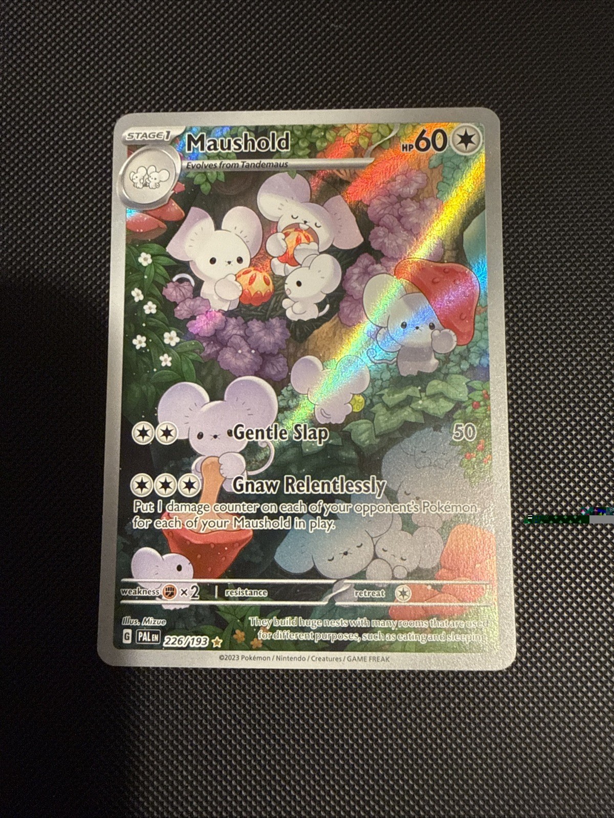 Maushold 226/193 Sv02 Paldea Evolved Illustration Rare Full Art Holo 2023