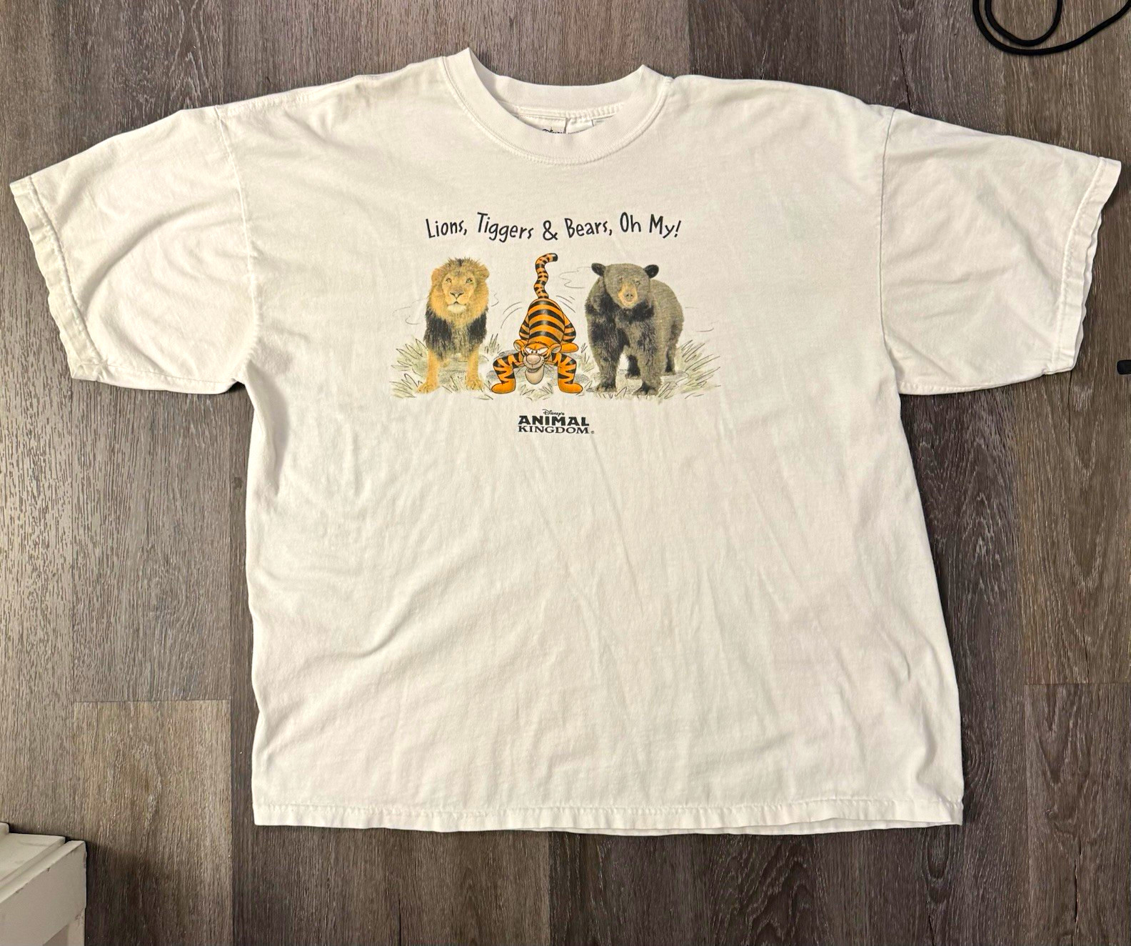 Vintage Disney Animal Kingdom Tigger Lions Tigers Bears Oh My T Shirt XXL