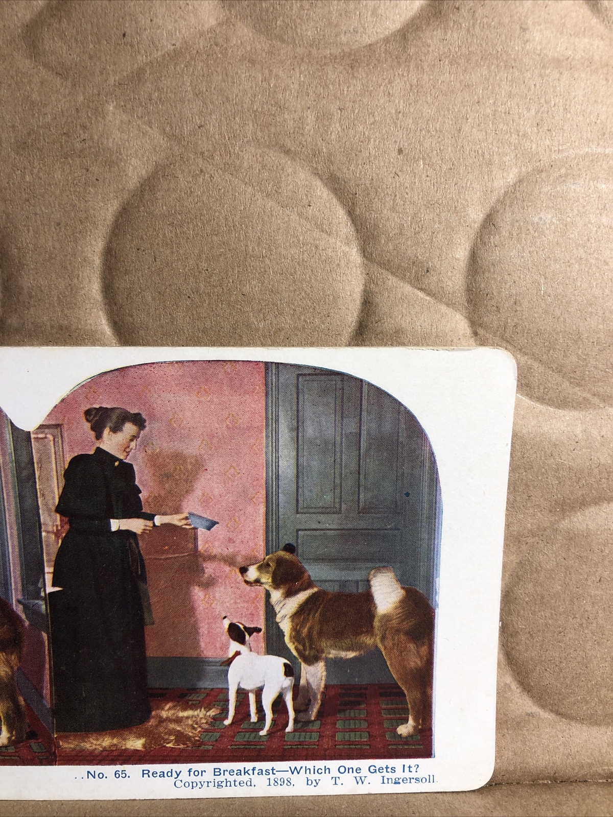 Vintage 1898 “Ready for Breakfast “ 2  Dog Dogs  Stereoview Photo Card