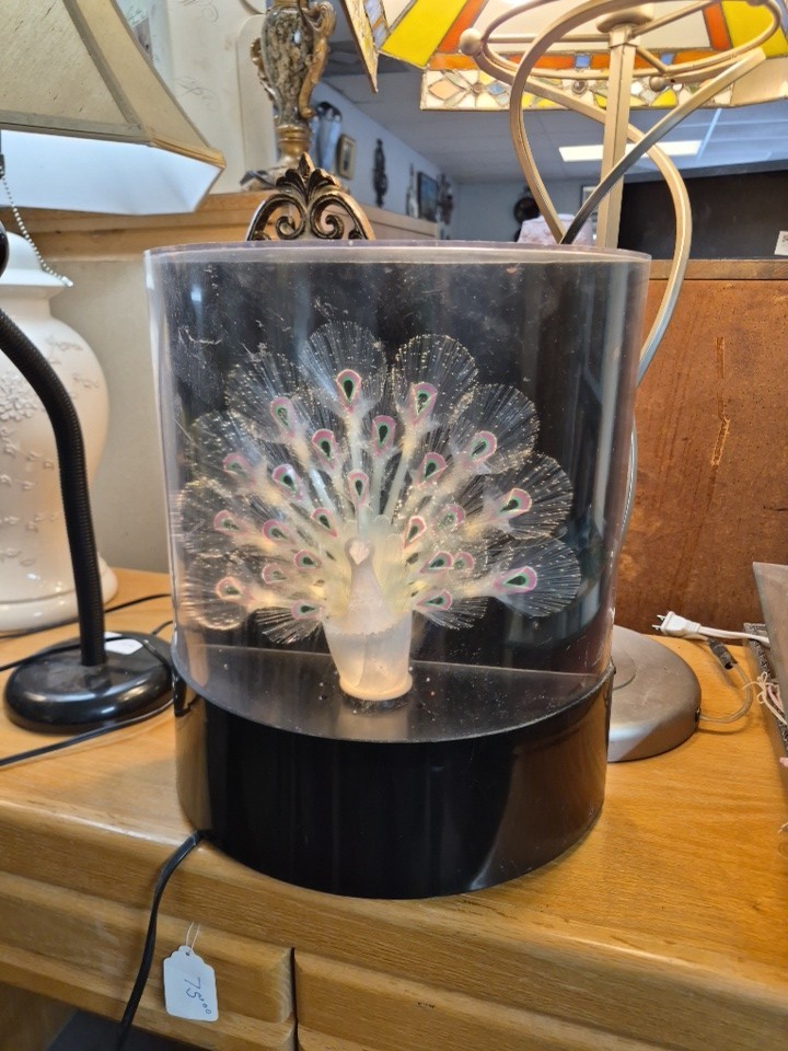 Fiber Optic Peacock