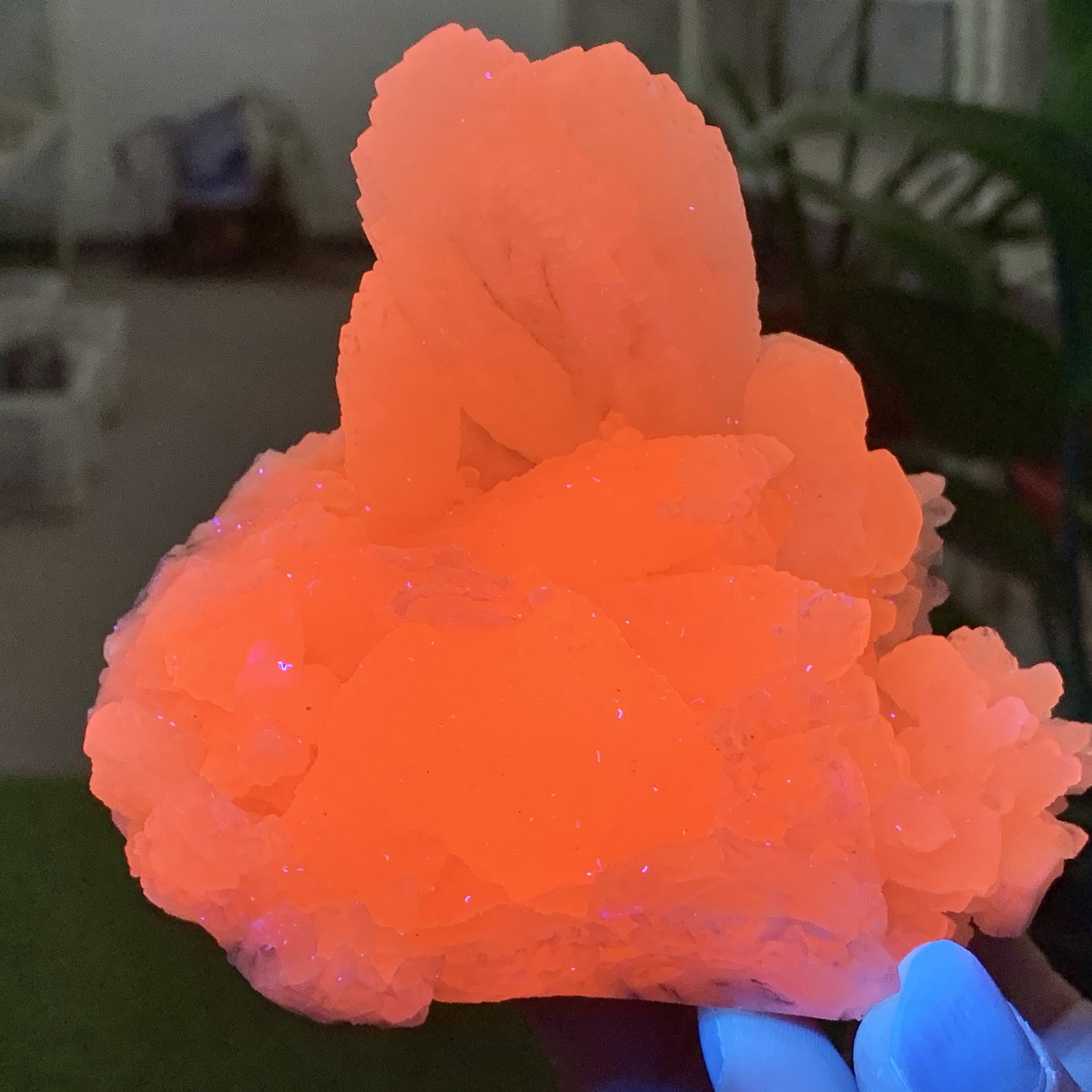 457G Natural Feather Calcite UV Fluorescence Effect Crystal Cluster Mineral