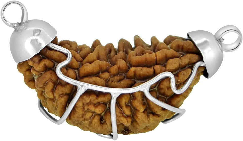 1 Mukhi Rudraksha Natural Certified Original Nepali Big Bead for Men & Women Spi 1 Mukhi Rudraksha Natural Certified Original Nepali Big Bead for Men & Women Spi