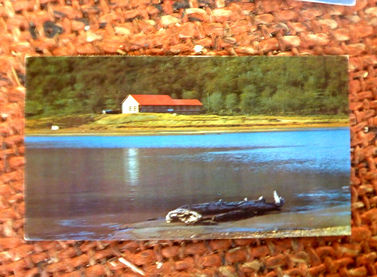 1987  REPUBLICA ARGENTINA ANTARTIC POSTCARD POSTALLY USED TO AUST TERRA DEL FUEG