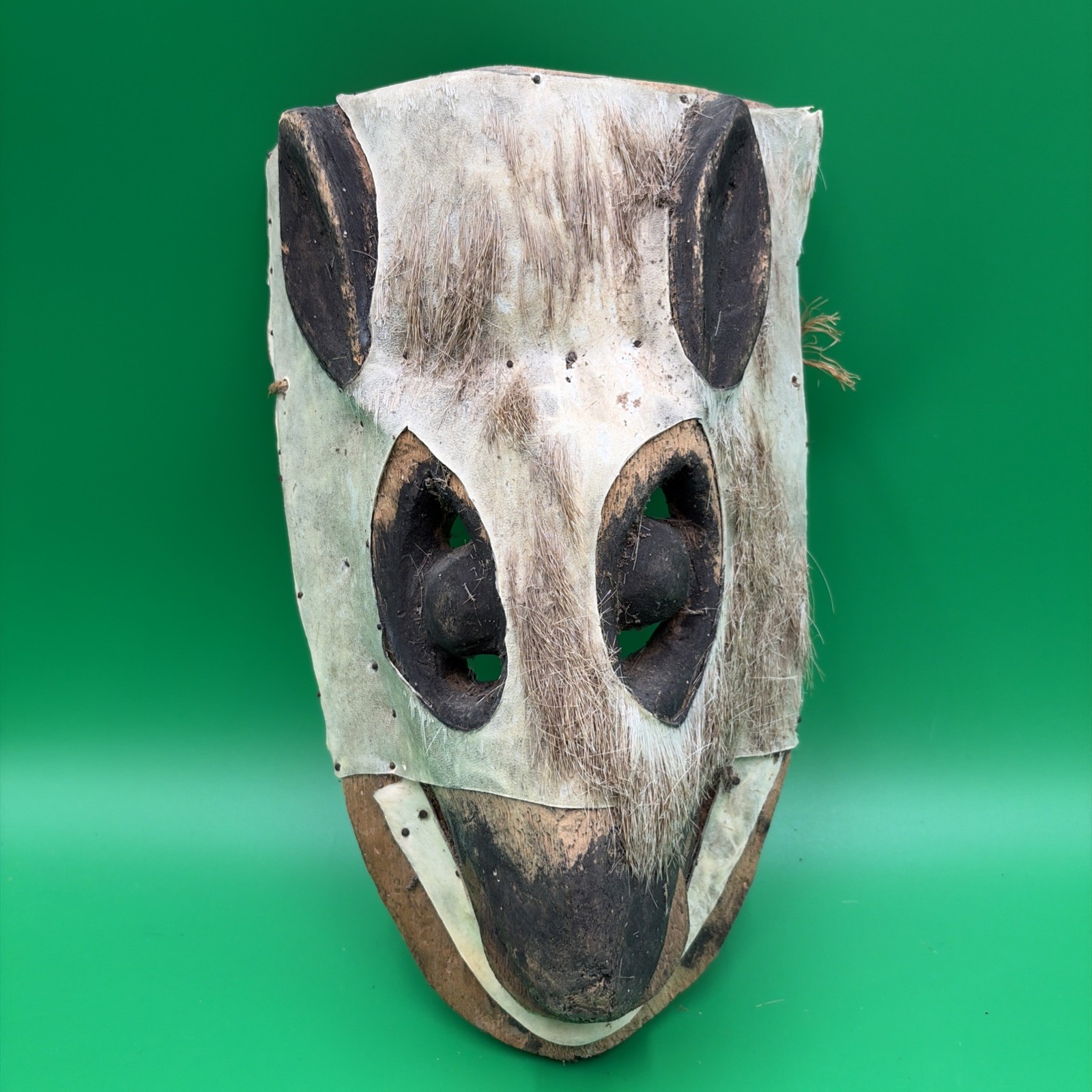 Vintage Piaroa Warima Mask Venezuela Colombia 11 X 6 X 4” Vintage Piaroa Warima Mask Venezuela Colombia 11 X 6 X 4”