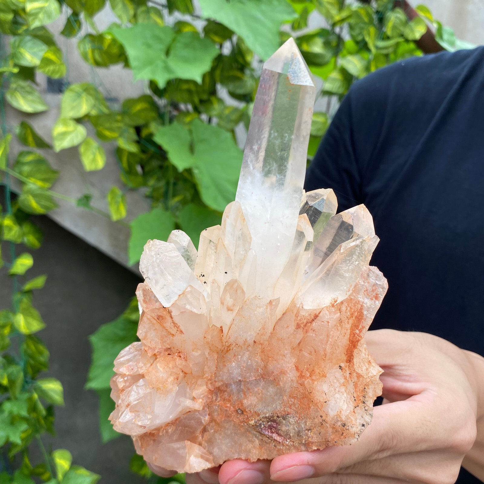 2.2lb A+++Large Natural clear white Crystal Himalayan quartz cluster /mineralsls