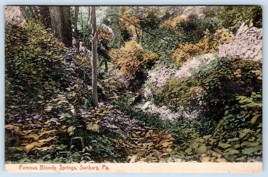 Pre-1907 FAMOUS BLOODY SPRINGS SUNBURY PENNSYLVANIA PA MELICK ANTIQUE POSTCARD