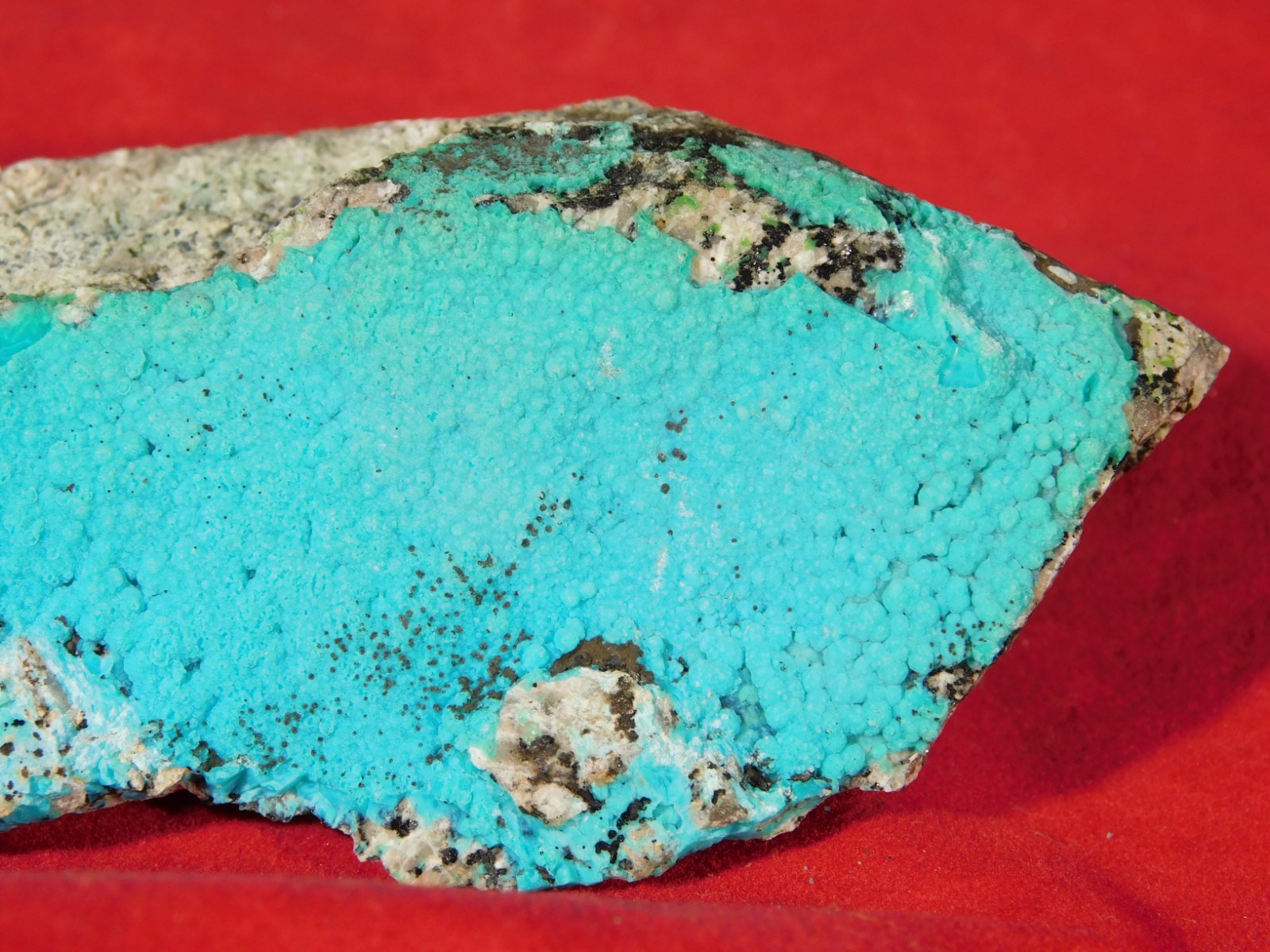 Larger Bright BLUE Chrysocolla Cluster Tyrone New Mexico 149gr