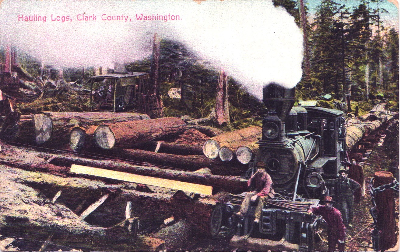 HAULING LOGS clark county wa postcard washington logging