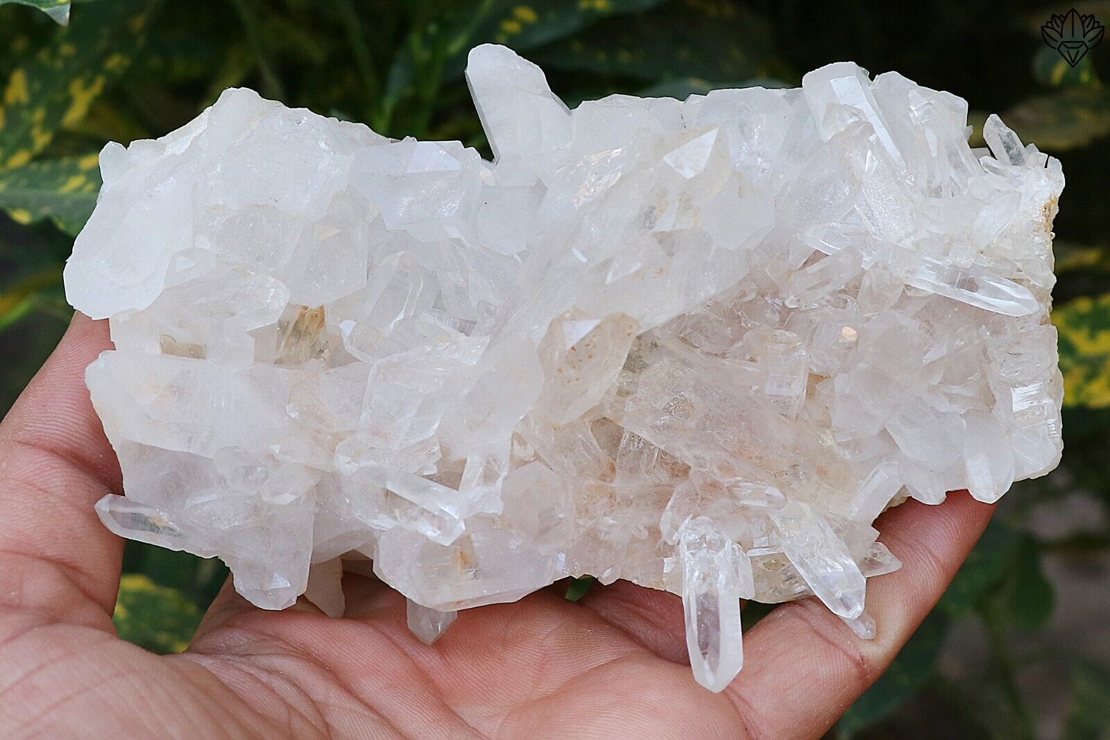 Antique Natural Himalayan Quartz White Crystal 452 gm Healing Reiki raw Specimen
