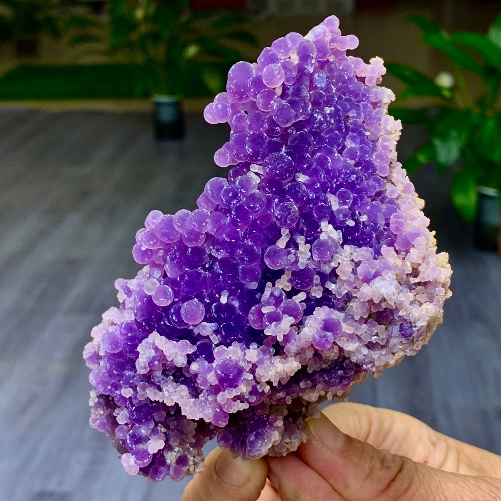 345G Natural purple grape agate quartz crystal granular mineral specimen