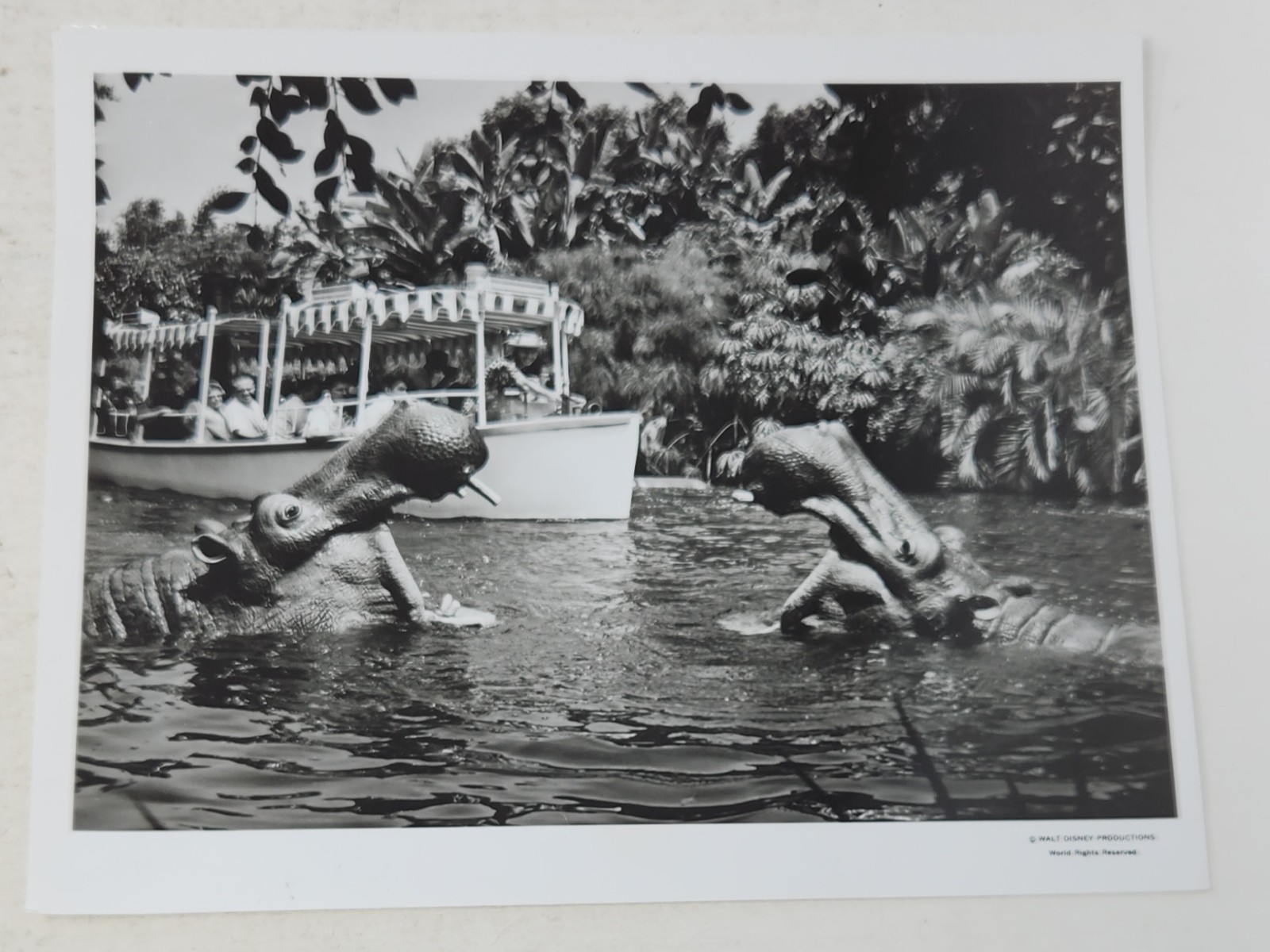 Vintage 1984 Disneyland Jungle Cruise 8x10 Press Photo Original Snipe Back Vintage 1984 Disneyland Jungle Cruise 8x10 Press Photo Original Snipe Back