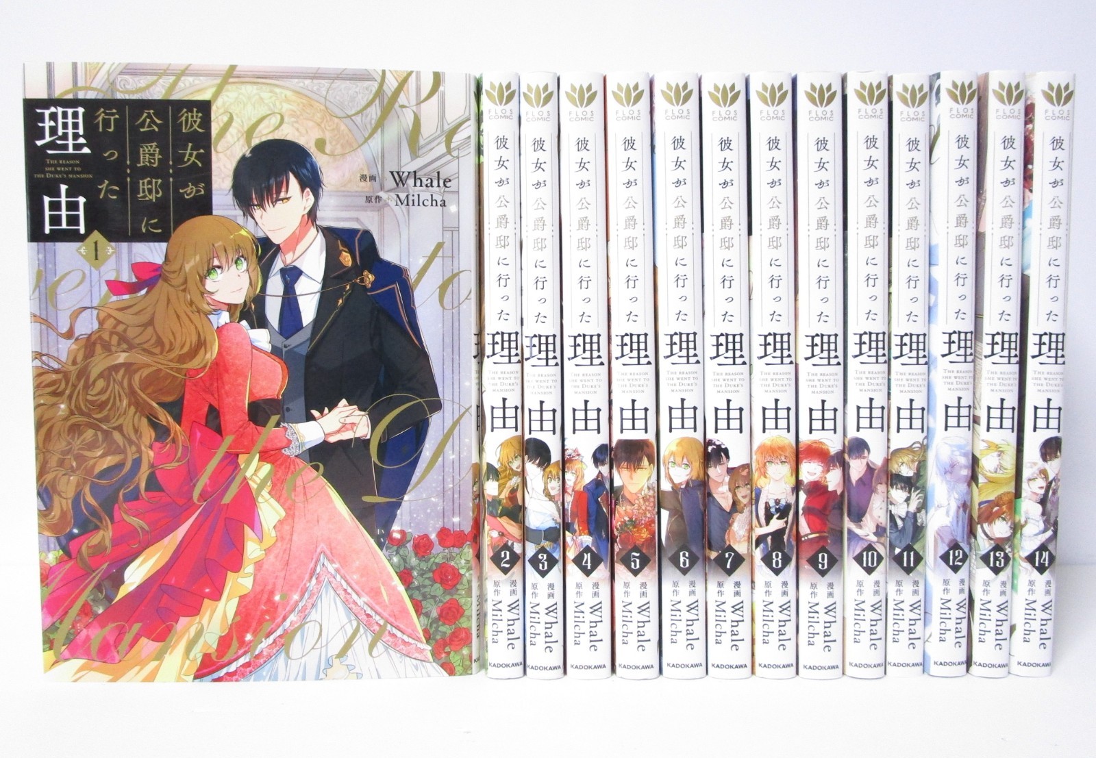 The Reason Why Raeliana Ended up at the Duke's Mansion Vol.1-14 Manga Set