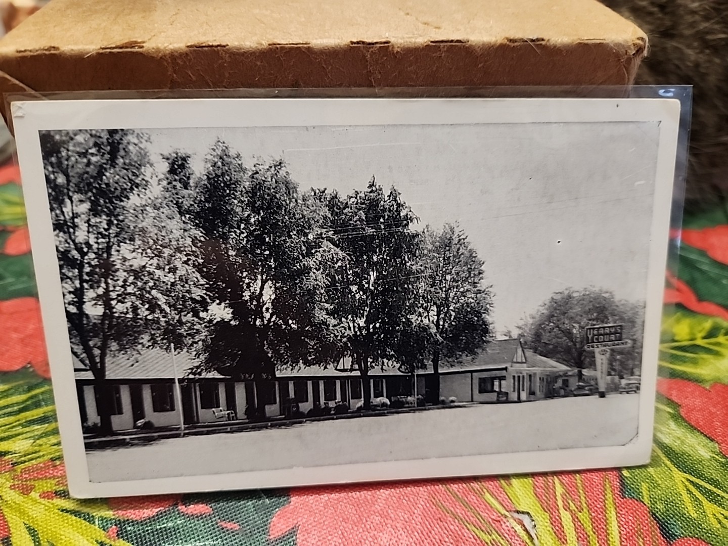 Corbin Kentucky KY ~ Yeary\'s Tourtist Court Service Station Real Photo Postcard 